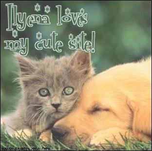 dogandcataward.jpg
